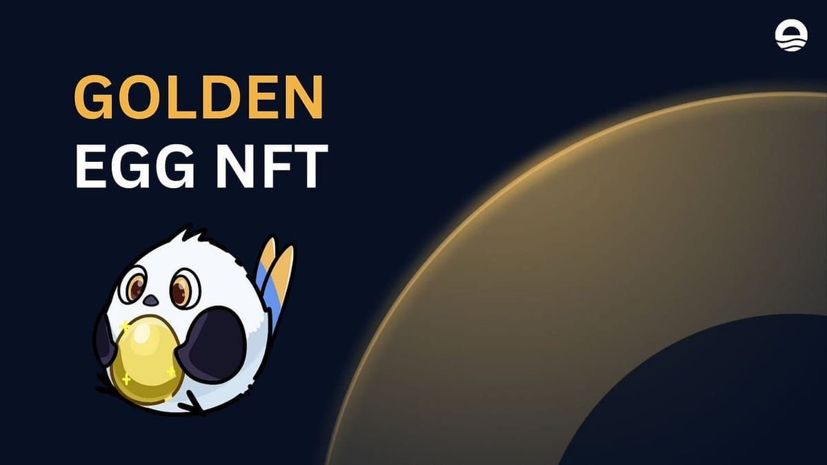 Blockstype: Crypto guides & posts